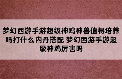 梦幻西游手游超级神鸡神兽值得培养吗打什么内丹搭配 梦幻西游手游超级神鸡厉害吗